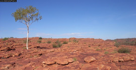 Das australische Outback. Foto: Julia Gebhardt/Pixelio