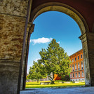 Blick auf den blauen Himmel und grüne Bäume aus einem Gebäude am Campus Griebnitzsee.