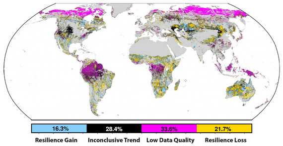 Global map showing where resilience estimates are reliable (blue/orange regions), with categories for increasing/decreasing resilience, inconclusive trends (black), and low data quality (pink).