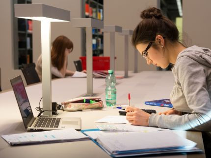 Image: Student working in the library