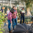 Treibauseffekte: Geowissenschaftliche Geländeübung in den Gewächshäusern des Botanischen Garten