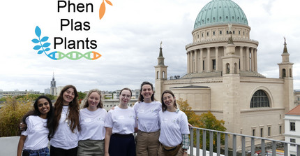the commitee on a loft, in front of a view on the Potsdam Alter Markt