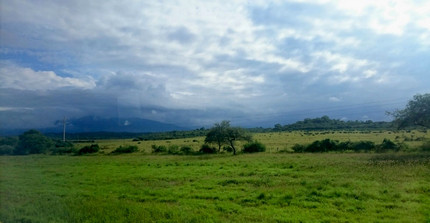 Saftig grüne Landschaft mit blauem Himmel bei San Miguel de Tucuman
