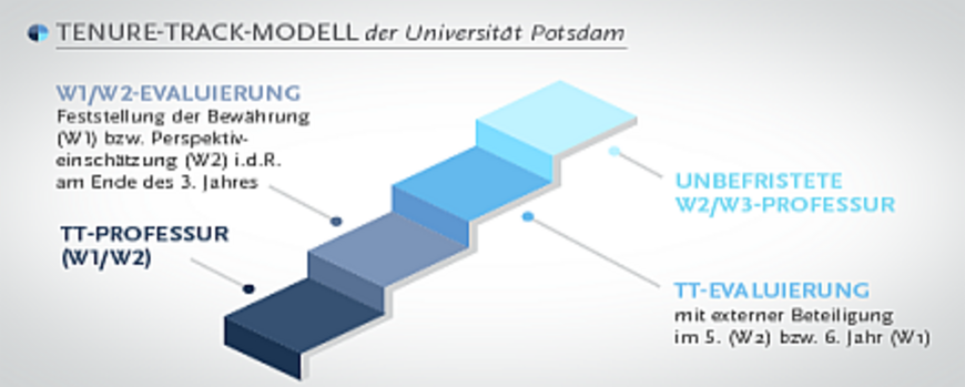 tenure track professorships at the university of