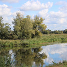 Oder floodplain lake