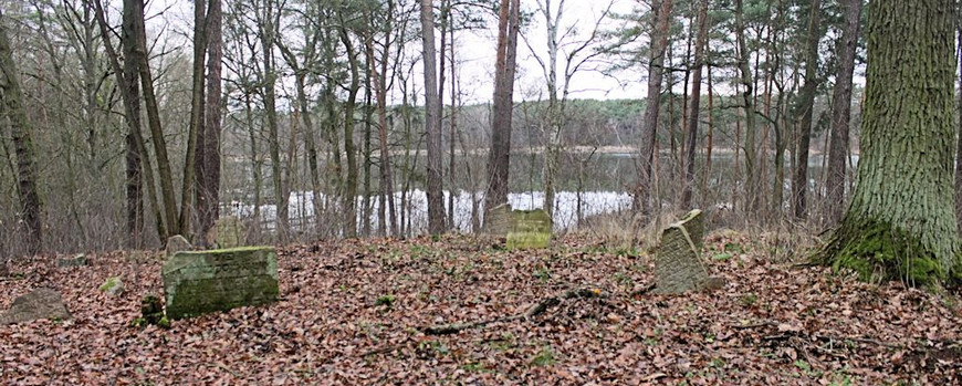 Friedhof von Trzciel mit dem dahinter liegenden See