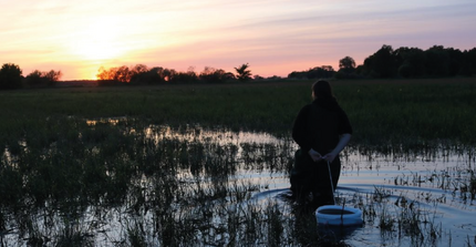 Lehre Studentin mit Amphibienreuse in überfluteter Havelaue bei Sonnenuntergang