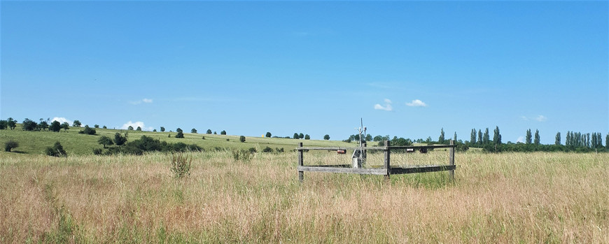 a grassland with an experimental setup
