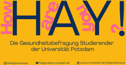 HAY! How are you? steht auf diesem Bild - wie auf einem Plakat.