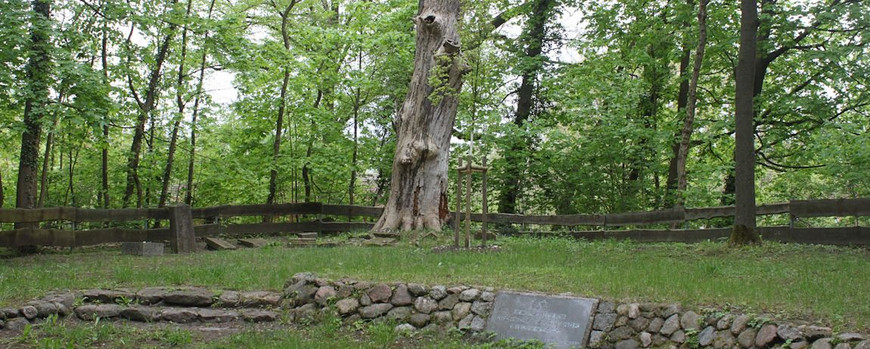 Der Jüdische Friedhof in Biesenthal auf einer Anhöhe am Ortsrand