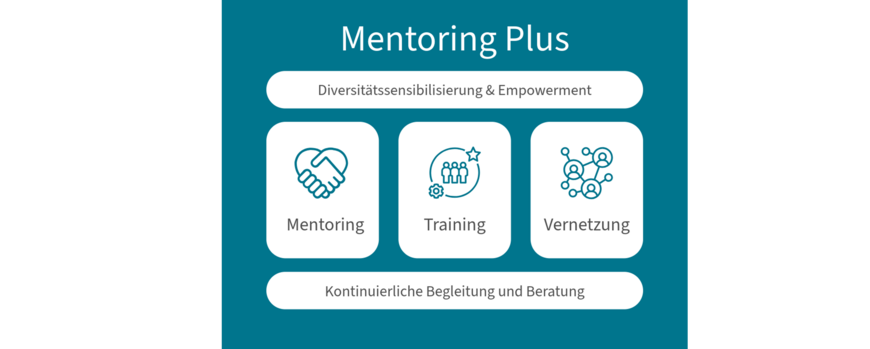 Bildliche Darstellung der 5 Komponenten des Mentoring Plus Programms: Diversitätssensibilisierung und Empowerment, Mentoring, Training und Vernetzung sowie kontinuierliche Belgeitung und Beratung.
