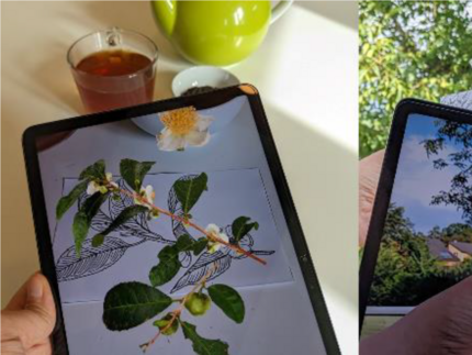 Zwei Tablets mit Augmented Reality Bildern einer Teepflanze und einer Walnuss