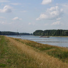 Rhine groynes near Maxau