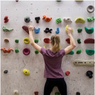 Junge Frau in Sportkleidung klettert an Kletterwand mit sehr vielen bunten Griffen