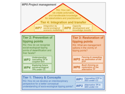 Schematic representation of the NamTip project structure with a highlight on Tier 4