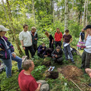 Analysis of the soil type in the Brieselang forest (Course Vegetation of Central Europe).