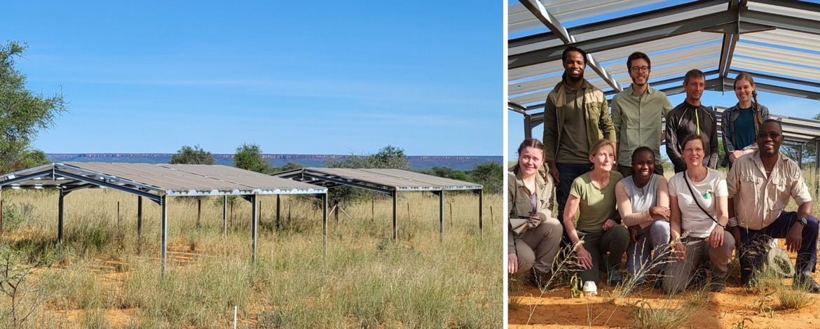 TipEx experimental platform Rainout shelters installed above plots of rangeland on a commercial farm (left), and group picture of NamTip ecologists under the roof of a rainout shelter (right)