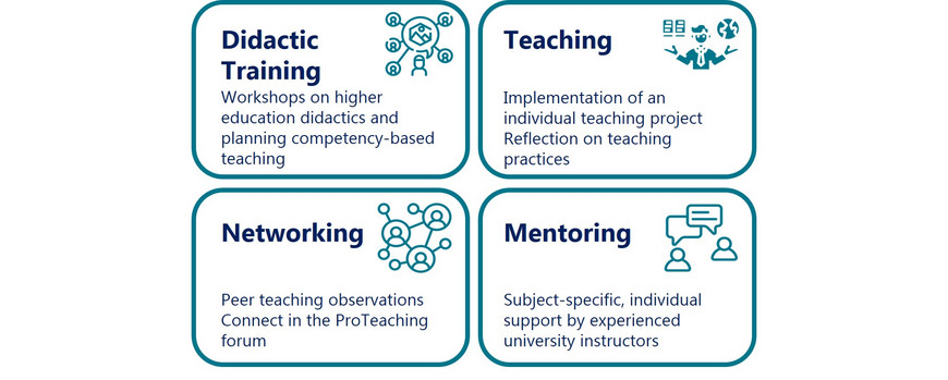 4 Components of the Teaching Professionals Program: Training, Teaching, Networking and Mentoring.