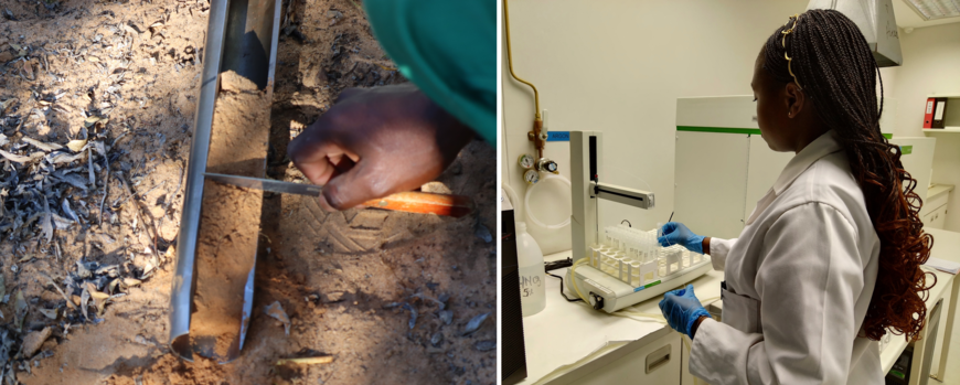 On the left a soil sample is being collected with a soil auger; on the right a researcher in a lab is adding chemicals to small receipients containing soil by means of a pipette