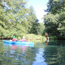 Spreewald with paddlers and drinking cow