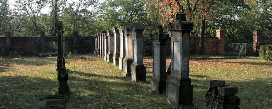 Reihengräber und Einfahrt auf dem Friedhof in Guben