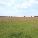 Meadows of Havel near Guelpe