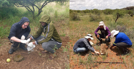 News Teaser for Sallnet: scientists at work in South Africa