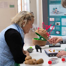 Eine Frau steht an einem Tisch mit Exponaten, ein Wissenschaftler erklärt.