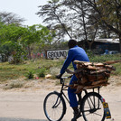 a man on bicycle is driving the way, he belongs to ecosystem services