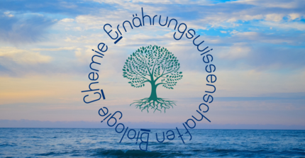 Grafik für Workshop