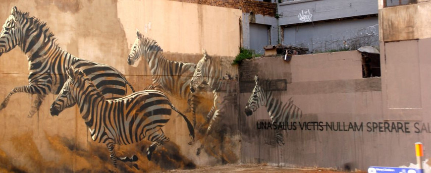 Zebra-Mural in Johannesburg. Photo: Diana Banmann