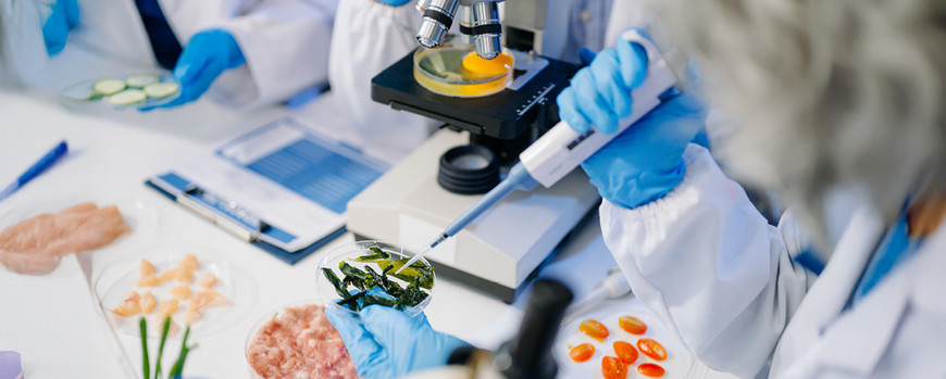 Ausschnitt eines Arbeitsplatzes mit Mikroskop, Petrischale und Pipette