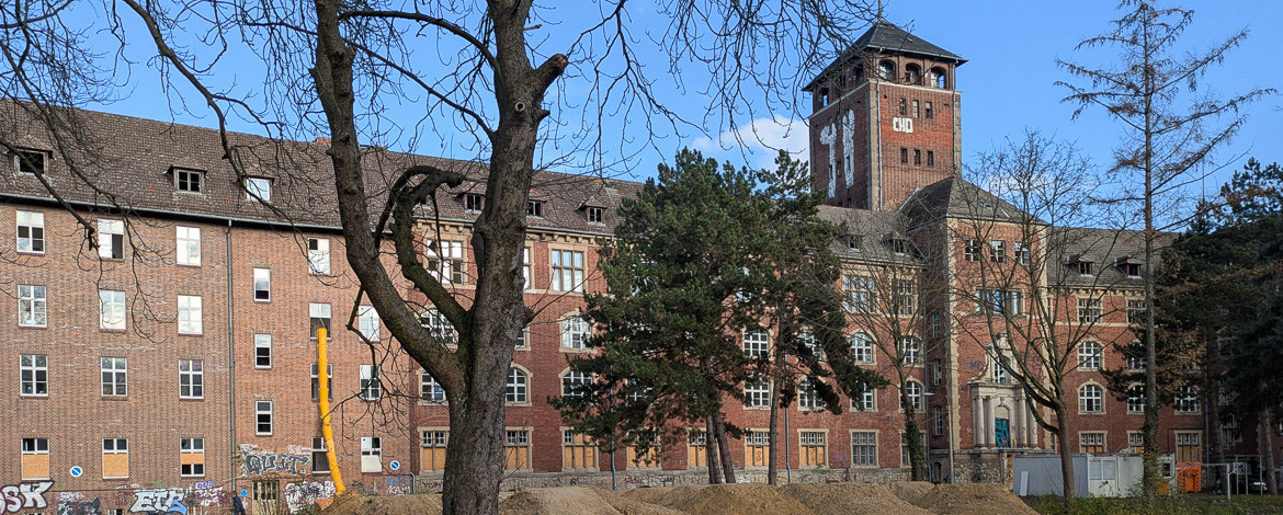 Bild vom Campus Brauhausberg -