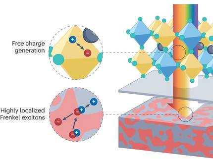 Figure 1 of Brinkmann Nat Rev Mater 2024