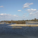 Elbe flood near Bleckede