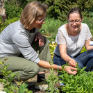 Prof. Anja Linstädter and Dorit Siebert in front of plants