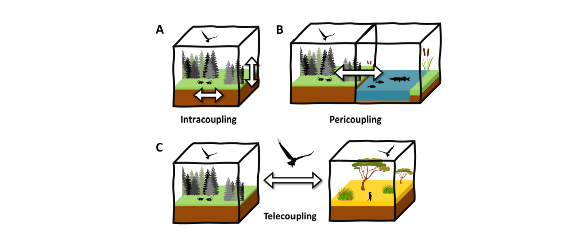 Squares describing different ecosystems and how they are connected