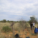 NamTip researchers standing in front of a demarked plot of savanna grassland with measuring devices
