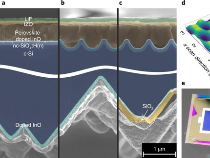 Figure 1 of Tockhorn Nat Nanotech 2022