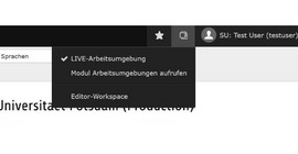 Screenshot TYPO3-Backend mit Auswahl der LIVE-Arbeitsumgebung