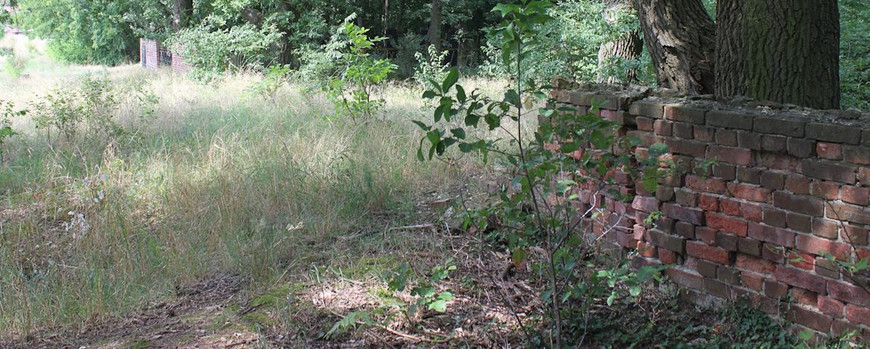 Zerstörte Mauer des abgeräumten Begräbnisfelds und der restaurierte Bereich im Hintergrund