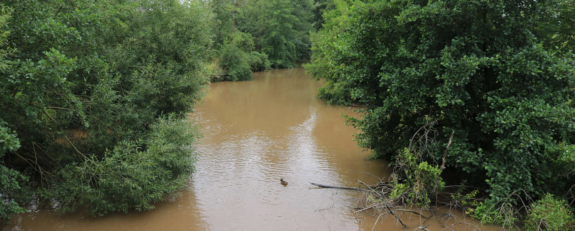 Flutung mit Schwebstoffen die Farbe des Wassers ändern