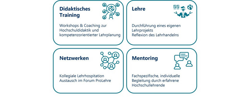 4 Kacheln mit der Beschreibung der vier Komponenten des Teaching Professioanls Programm: Didaktisches Training, Lehre, Netzwerken und Mentoring.