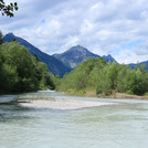 Willow island in fast flowing alpine Lech