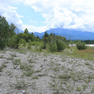 Wild Isar at Wallgau with starting vegetation on gravel bank