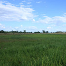 Meadow of Havel with ditch structures