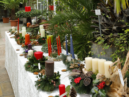 Adventsgestecke auf einem Tisch unter Palmen im Gewächshaus