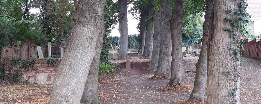 Lindenallee mit erkennbarer Terrassierung