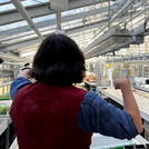 work in the greenhouse