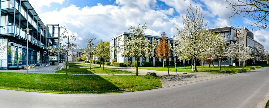 Campus Golm im Frühling